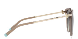 Shop TIFFANY Oversized Round Sunglasses in Nude online.