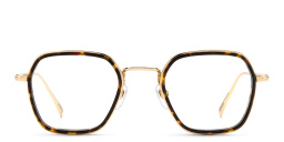 Shop DAVID BECKHAM Timeless Icons Square Eyeglasses in Gold Havana online.