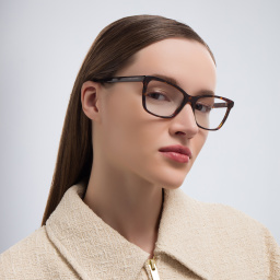 Shop SAINT LAURENT Wide Cat-Eye Eyeglasses in Havana online.