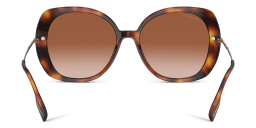 Shop BURBERRY Oversized Square Sunglasses in Light Havana online.