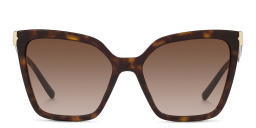 Shop BVLGARI Oversized Cat-Eye Sunglasses in Havana online.