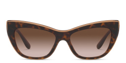 Dolce & Gabbana Cat-Eye Sunglasses in Havana – Product Photo 1