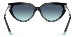 TIFFANY Cat-Eye Sunglasses in Black – Product Photo 4