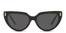 TIFFANY Cat-Eye Sunglasses in Black – Product Photo 1