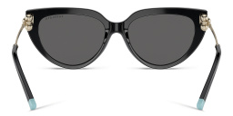 Shop TIFFANY Cat-Eye Sunglasses in Black online.