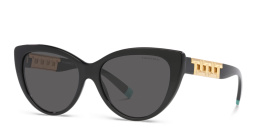 Shop TIFFANY Cat-Eye Sunglasses in Black online.