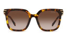 Shop MIU MIU Pillow Sunglasses in Havana online.