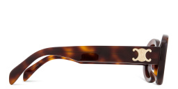 Shop CELINE Triomphe Oval Sunglasses in Havana online.