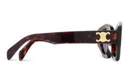 Shop CELINE Triomphe Cat-Eye Sunglasses in Havana online.