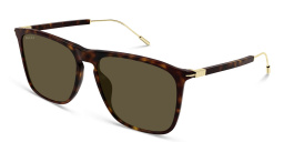 Shop GUCCI Square Sunglasses in Havana online.