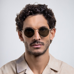 Shop DAVID BECKHAM Panthos Sunglasses in Gold Black online.