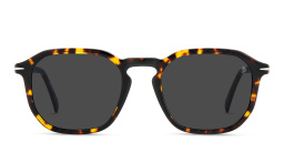 Shop DAVID BECKHAM Irregular Sunglasses in Havana online.