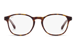 Ray-Ban Unisex Panthos Eyeglasses in Havana On Transparent – Product Photo 1