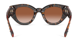BURBERRY Panthos Sunglasses in Dark Havana – Product Photo 4