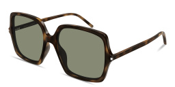 Shop SAINT LAURENT Lettering Oversized Butterfly Sunglasses in Havana online.