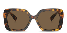 MIU MIU Irregular Sunglasses in Honey Havana – Product Photo 1