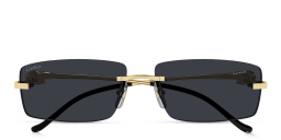 Cartier Panthère de Cartier Unisex Rimless Rectangle Sunglasses in Gold – Product Photo 1