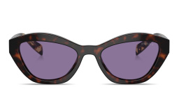 PRADA Butterfly Sunglasses in Havana – Product Photo 1