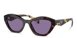 Shop PRADA Logo Print Cat-Eye Sunglasses in Havana online.