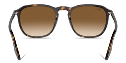 Ray-Ban Embossed Logo Unisex Square Sunglasses in Havana – Product Photo 4
