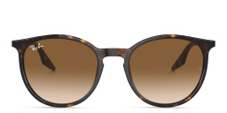 Shop Ray-Ban Unisex Panthos Sunglasses in Havana online.