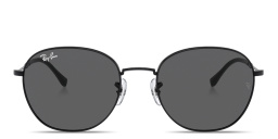Ray-Ban Unisex Panthos Sunglasses in Black – Product Photo 1