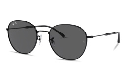 Shop Ray-Ban Logo-Engraved Unisex Panthos Sunglasses in Black online.