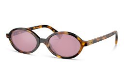 Shop MIU MIU Oval Sunglasses in Havana online.
