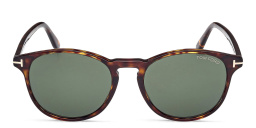 TOM FORD Lewis Round Sunglasses in Dark Havana – Product Photo 1