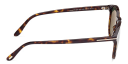 TOM FORD Lewis Round Sunglasses in Dark Havana – Product Photo 3