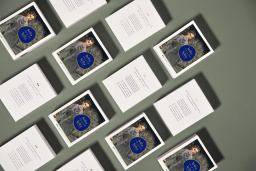 عدسات لاصقة ملوّنة للإستخدام الشهري - سفانة رمادي مورِق من ليلة وليلة - صورة المنتج 5