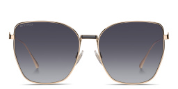 ETRO Bold Pegaso Oversized Cat-Eye Sunglasses in Rose Gold – Product Photo 1