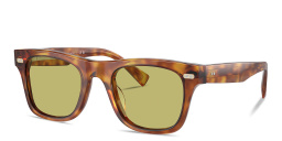 Shop BRUNELLO CUCINELLI Mr. Brunello Unisex Square Sunglasses in Havana online.
