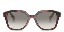 Shop BRUNELLO CUCINELLI Sartorial Sunset Unisex Irregular Sunglasses in Havana online.