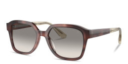 Shop BRUNELLO CUCINELLI Sartorial Sunset Unisex Irregular Sunglasses in Havana online.
