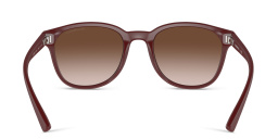Emporio Armani Logo Panthos Sunglasses in Matte Bordeaux – Product Photo 4