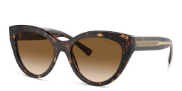 TIFFANY T True Cat-Eye Sunglasses in Havana – Product Photo 2