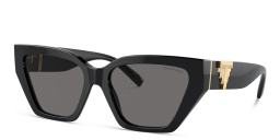Shop TIFFANY T Deco Cat-Eye Sunglasses in Black online.