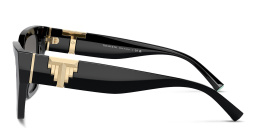 Shop TIFFANY T Deco Cat-Eye Sunglasses in Black online.