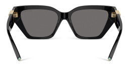 Shop TIFFANY T Deco Cat-Eye Sunglasses in Black online.