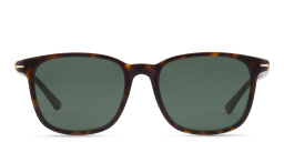 MONTBLANC Nib Square Sunglasses in Havana – Product Photo 1