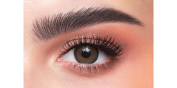 Shop DAHAB 1-Day Color Contact Lenses - Cappuccino online.