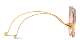 Shop ANNA KARIN KARLSSON Rose Et Le Rêve Limited Edition Oversized Round Sunglasses in Transparent Tobacco Brown online.