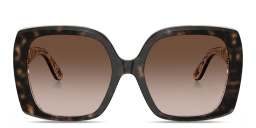 Shop Dolce & Gabbana DNA Oversized Square Sunglasses in Havana On White Barrow online.