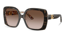 Shop Dolce & Gabbana DNA Oversized Square Sunglasses in Havana On White Barrow online.