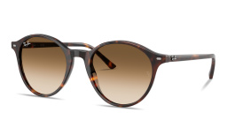 Shop Ray-Ban Bernard Unisex Panthos Sunglasses in Havana online.