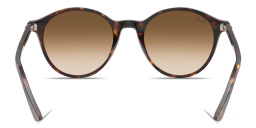 Shop Ray-Ban Bernard Unisex Panthos Sunglasses in Havana online.
