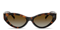 TIFFANY Tiffany T Oval Sunglasses in Havana – Product Photo 1