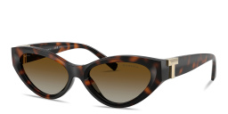 Shop TIFFANY Tiffany T Oval Sunglasses in Havana online.