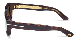 Shop TOM FORD Icon Unisex Rectangle Sunglasses in Dark Havana online.